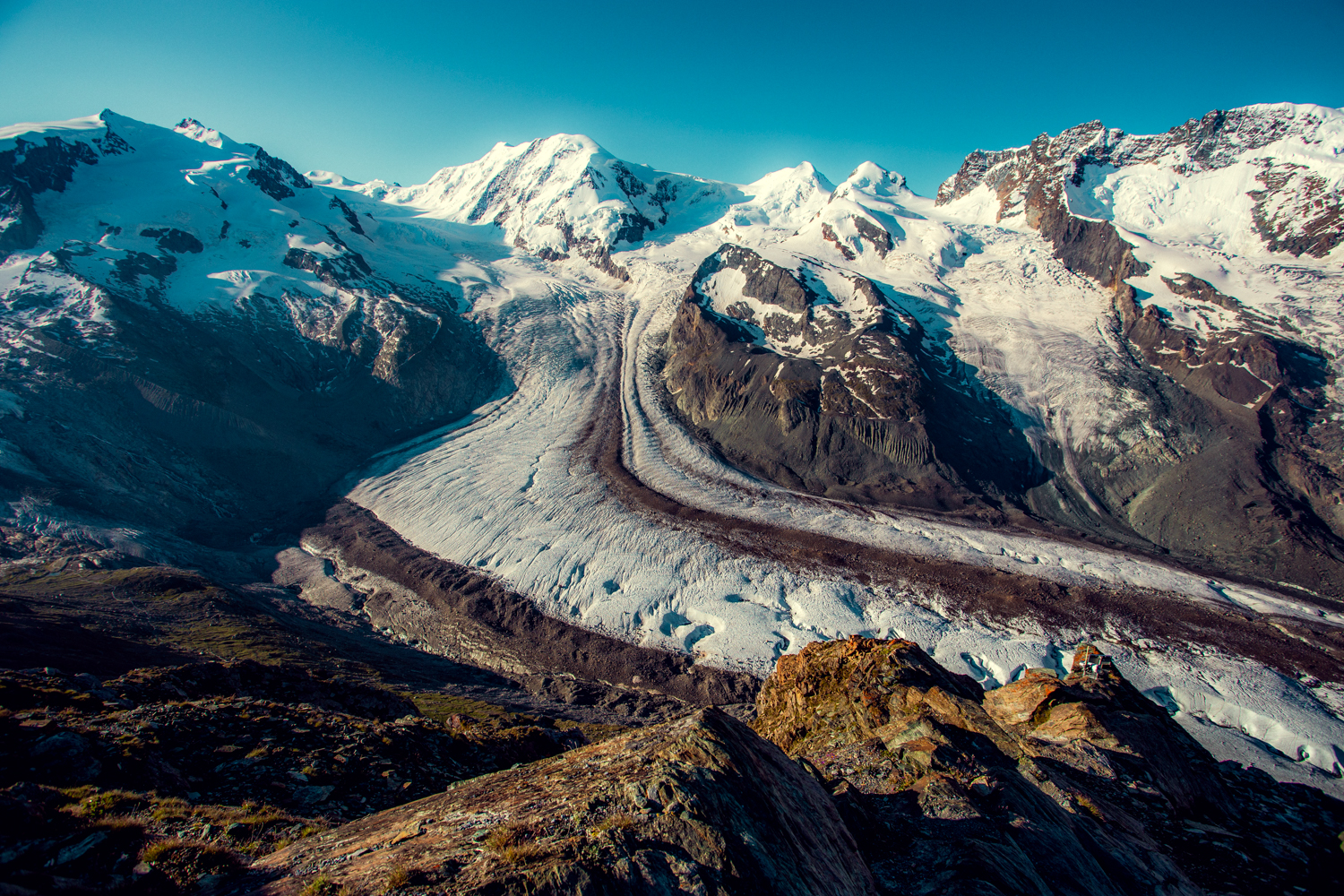 Elace Sportmodels About Beschreibung